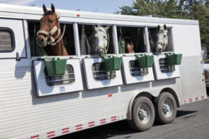 Horse Trailers and Highway Safety: Tips for Safe, Stress-Free Travel