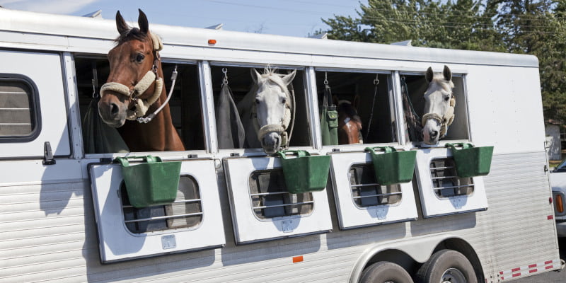 Horse Trailers and Highway Safety: Tips for Safe, Stress-Free Travel